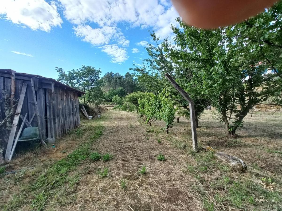 Quinta Da Peca Douro Vinhateiro Vila Real Kültér fotó