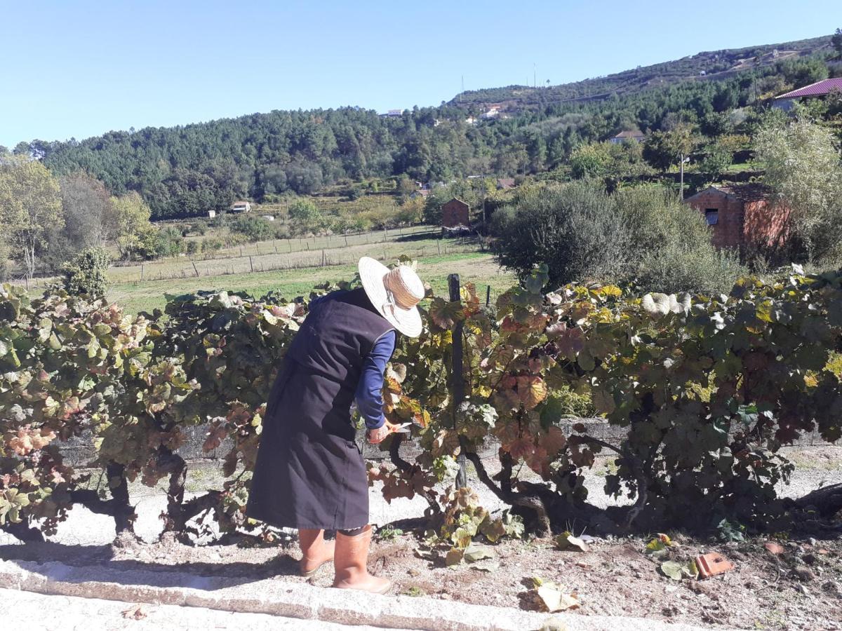 Quinta Da Peca Douro Vinhateiro Vila Real Kültér fotó