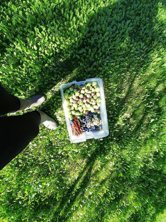 Quinta Da Peca Douro Vinhateiro Vila Real Kültér fotó