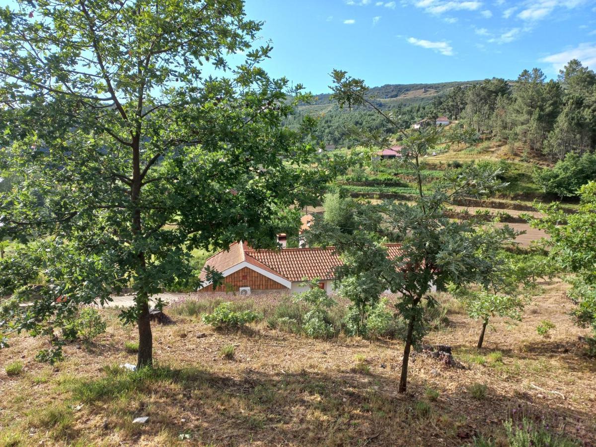 Quinta Da Peca Douro Vinhateiro Vila Real Kültér fotó