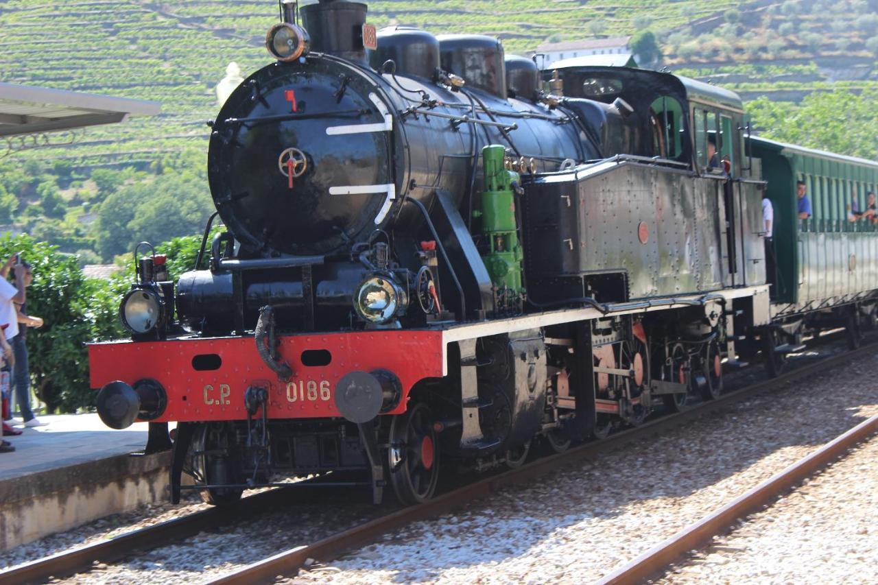 Quinta Da Peca Douro Vinhateiro Vila Real Kültér fotó