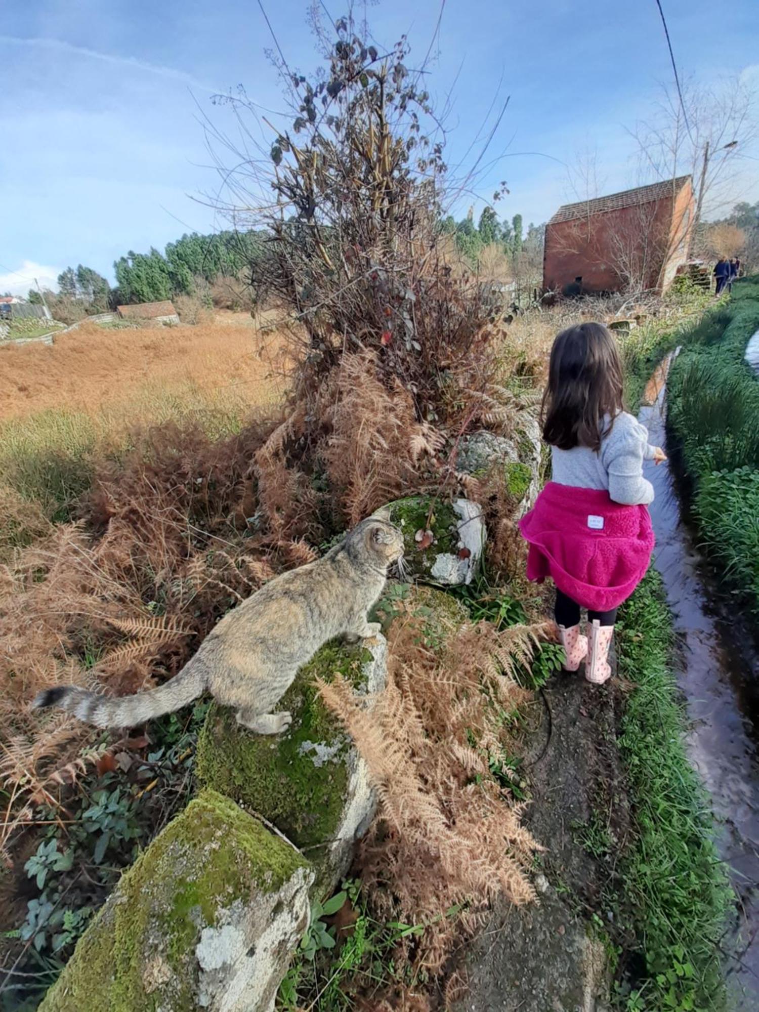 Quinta Da Peca Douro Vinhateiro Vila Real Kültér fotó