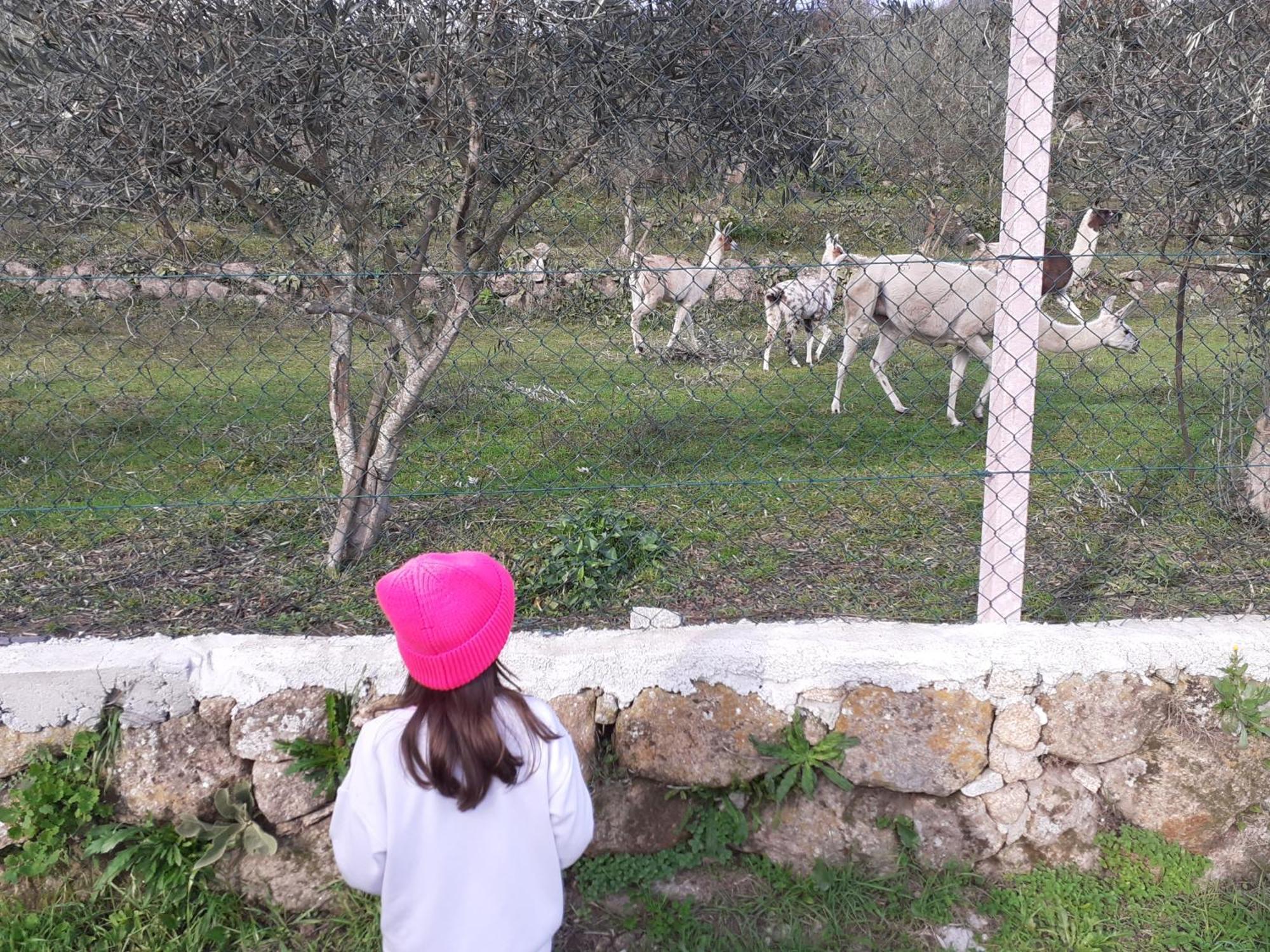 Quinta Da Peca Douro Vinhateiro Vila Real Kültér fotó