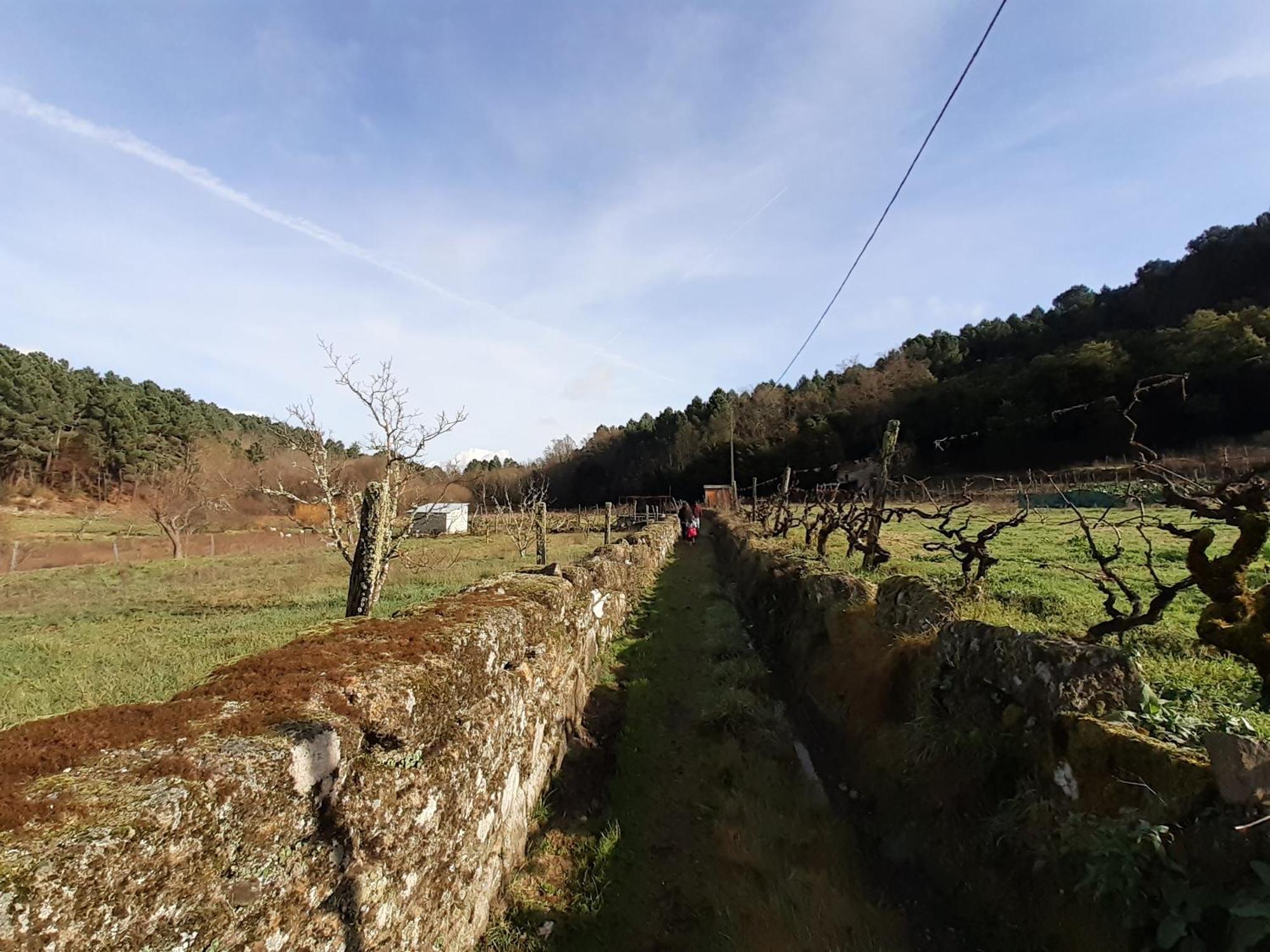 Quinta Da Peca Douro Vinhateiro Vila Real Kültér fotó